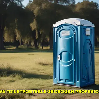 sewa toilet portable grobogan profesional